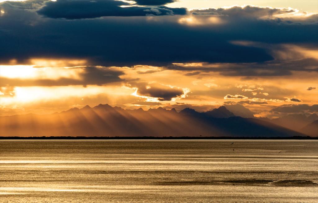 SeaTriest Cameră foto